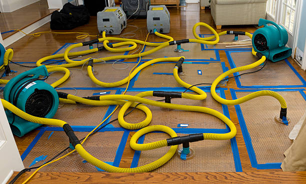 Professional Structural Drying And Dehumidification technician working in Centerville, PA